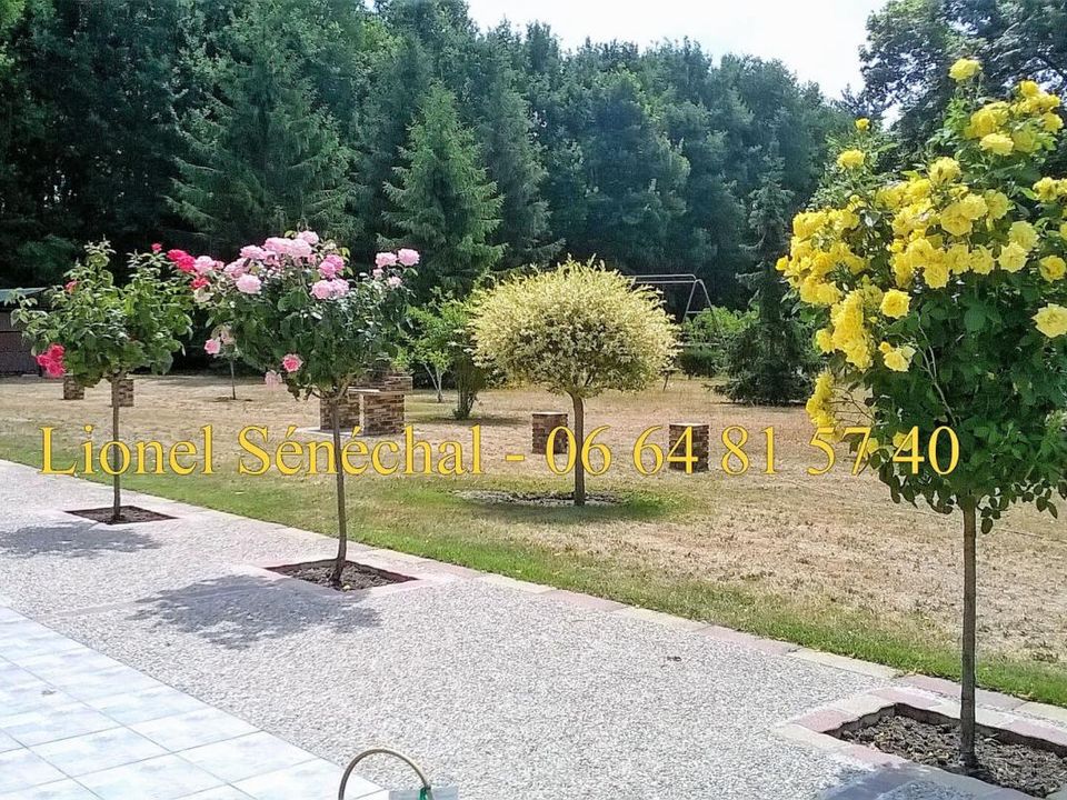 Villa i Change, Sarthe - bilde 2