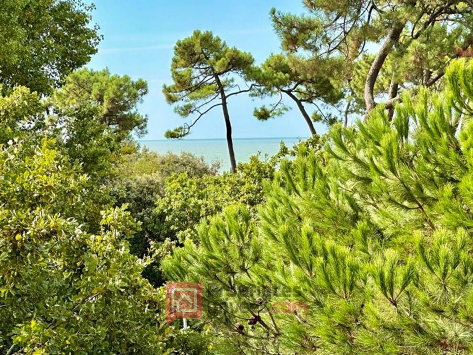 Lejlighed i Vaux-sur-Mer, Charente-Maritime - foto 5