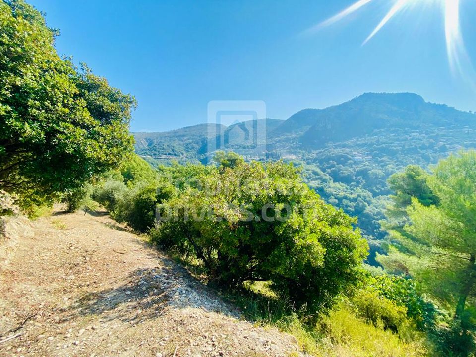 Terreno en Castagniers, Alpes-Maritimes - foto 4