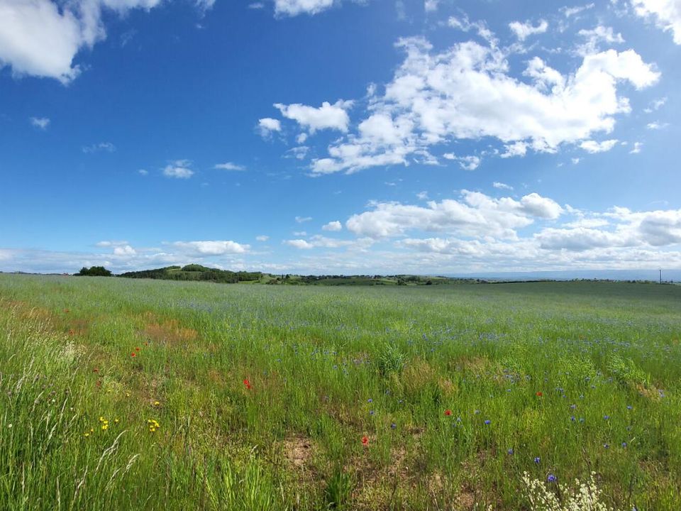 Helårsgrund i St.-Marcel-de-Félines, Loire - foto 3