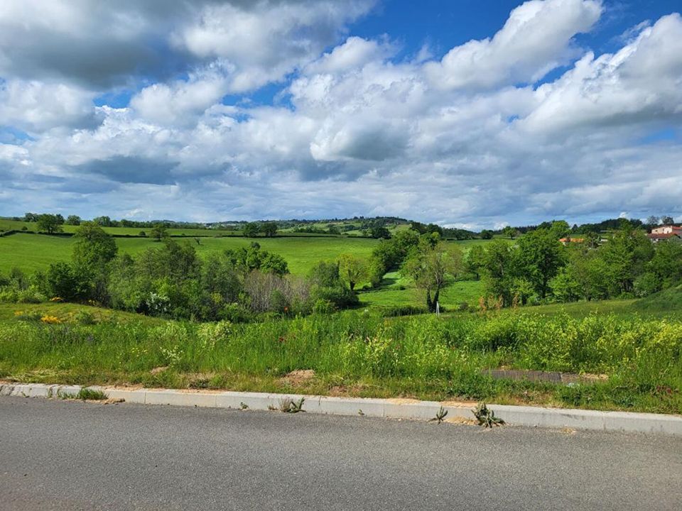 Helårsgrund i St.-Marcel-de-Félines, Loire - foto 4