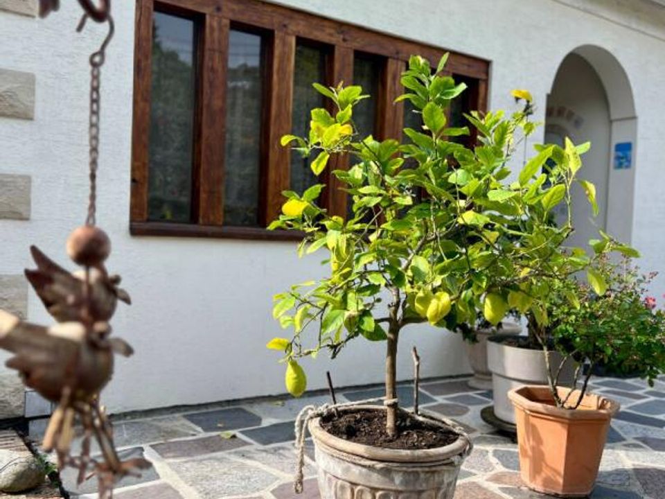 Villa i Cauffry, Oise - foto 3