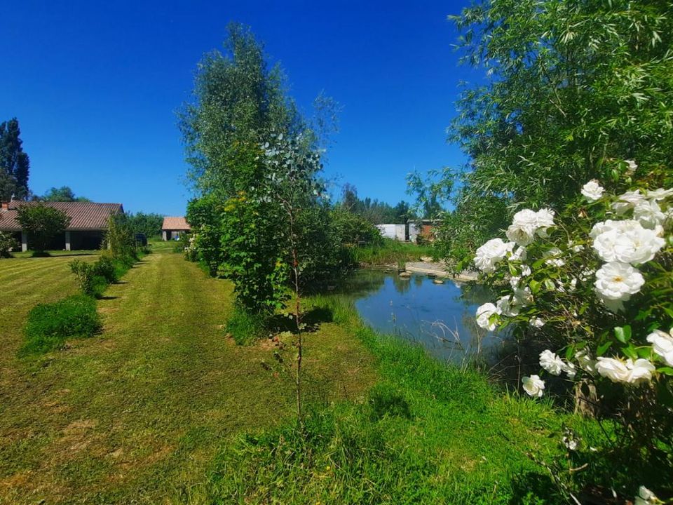 Villa i Saint-Jory, Haute-Garonne - foto 3