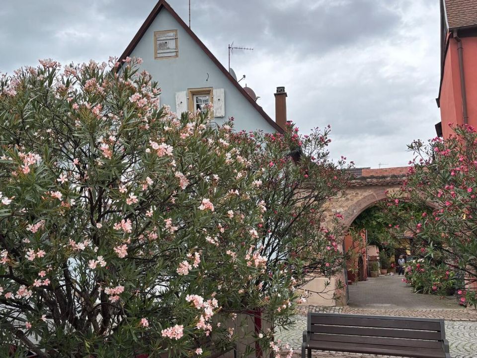 Villa i Turckheim, Haut-Rhin - foto 2