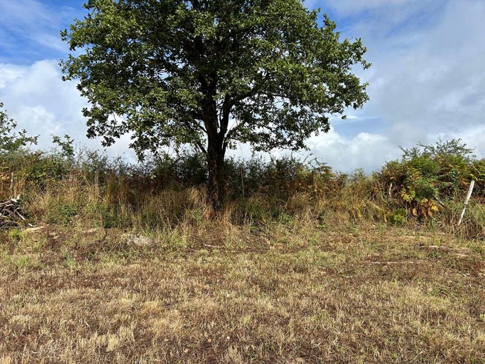 Helårsgrund i Vue, Loire-Atlantique - foto 3