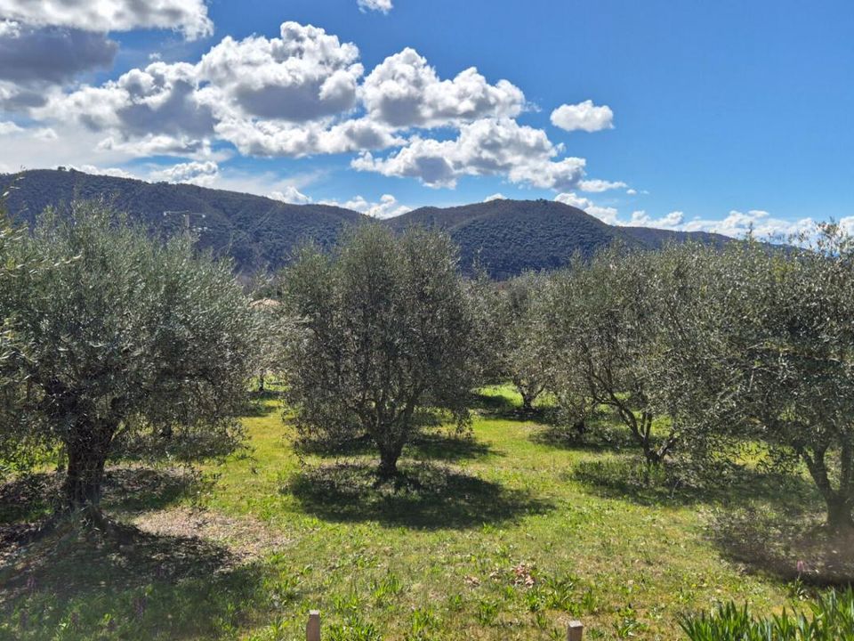 Tomt i Oraison, Alpes-de-Haute-Provence - bilde 1
