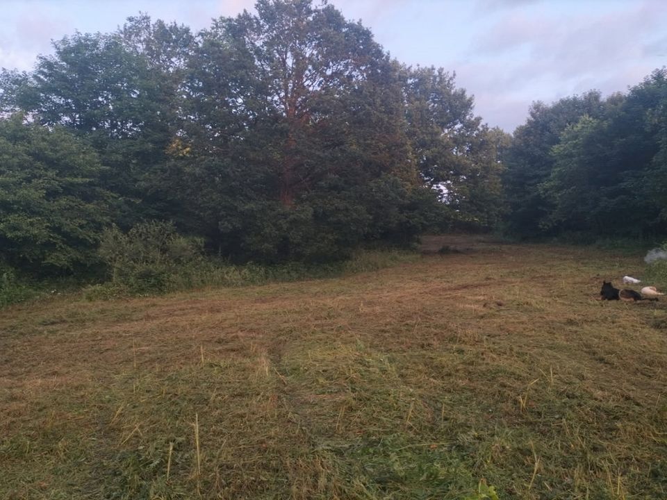 Helårsgrund i Saint-Guyomard, Morbihan - foto 4