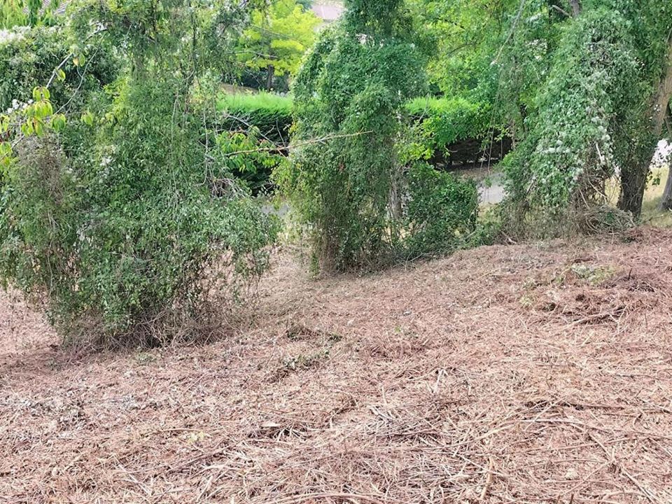 Helårsgrund i Puycasquier, Gers - foto 2