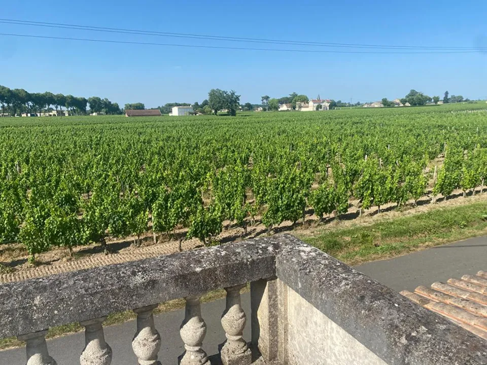 Erhvervsejendom i Pomerol, Gironde - foto 1