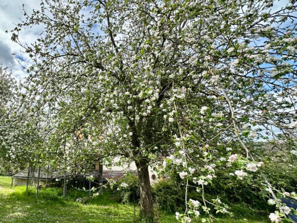 Villa i Lisieux, Calvados - foto 3
