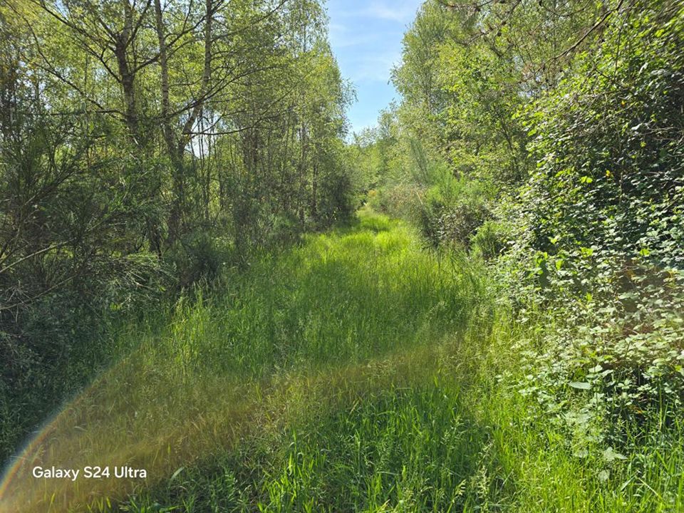 Helårsgrund i Montereau, Loiret - foto 2