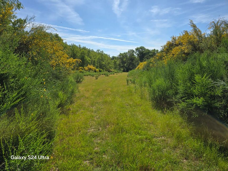 Helårsgrund i Montereau, Loiret - foto 3