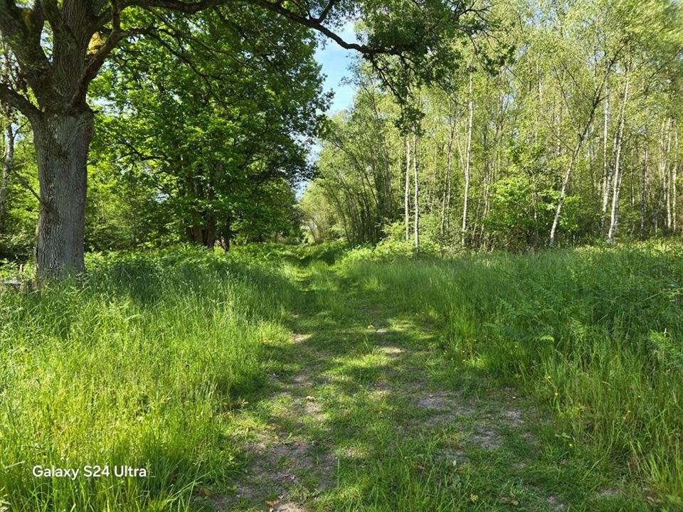 Helårsgrund i Montereau, Loiret - foto 4