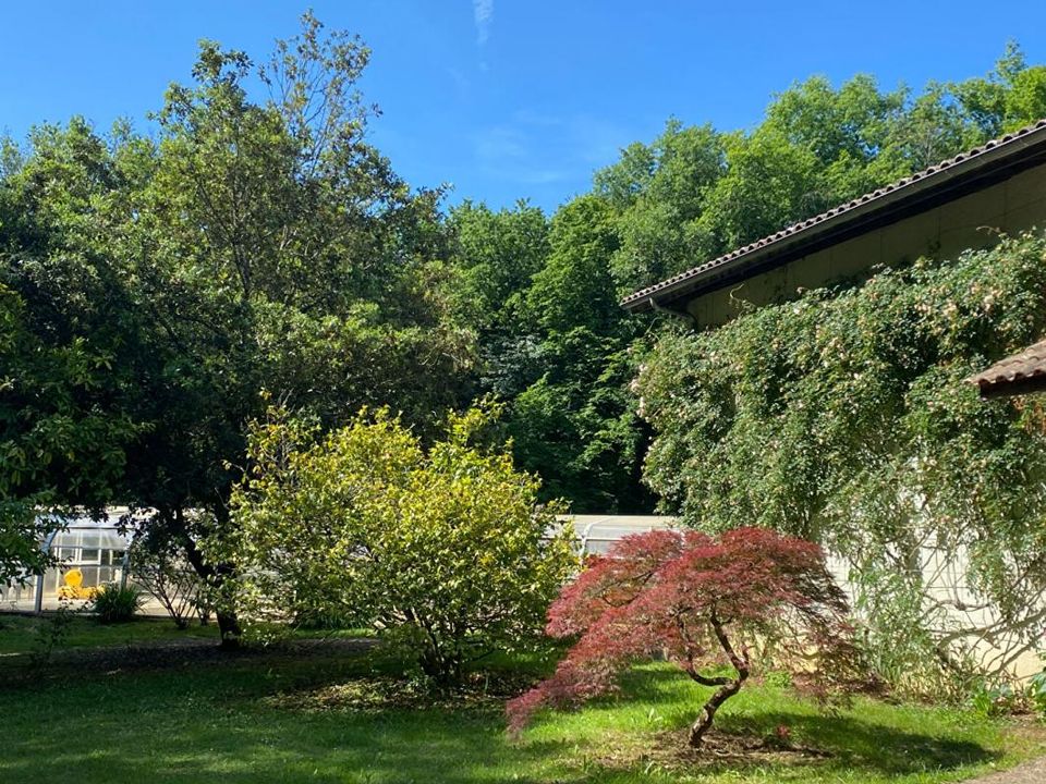Villa a Blasimon, Gironde - foto 3
