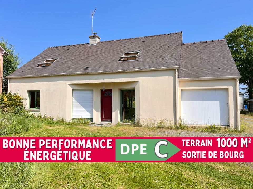 Villa i Plesse, Loire-Atlantique - foto 1