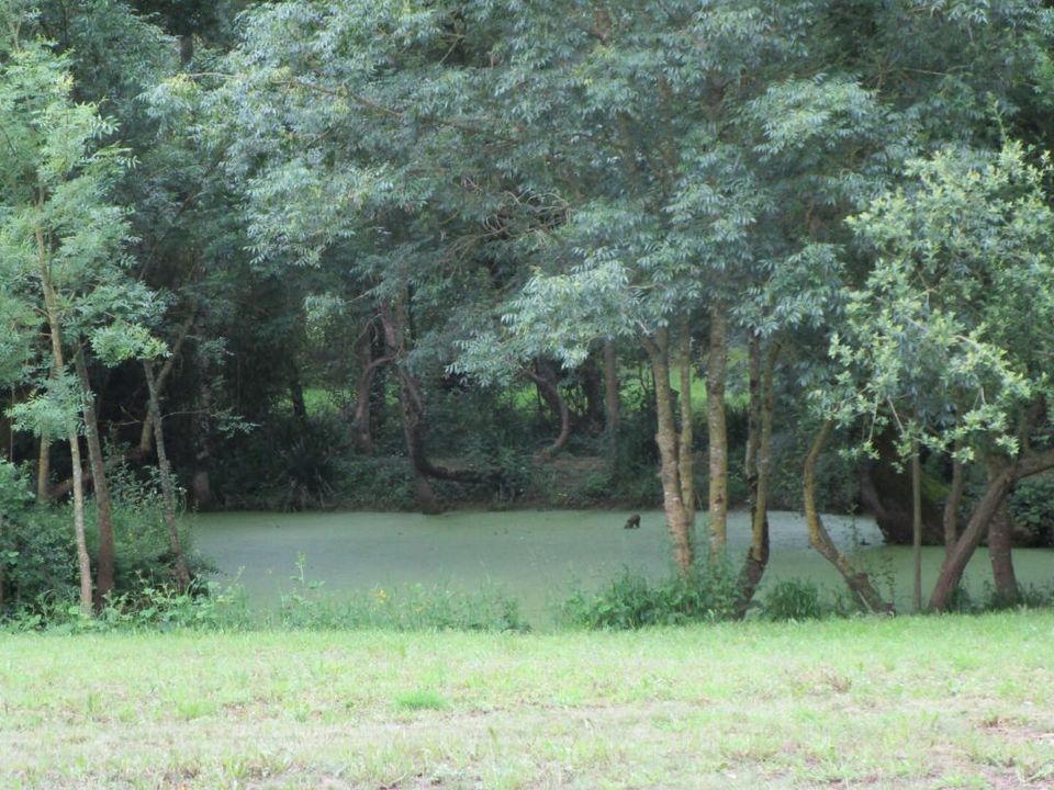 Villa i La Jonchere, Vendee - foto 3