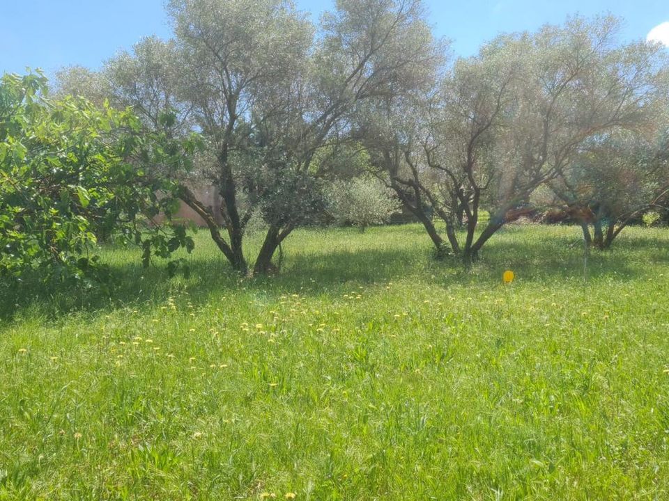 Tomt i Paulhan, Herault - bilde 1