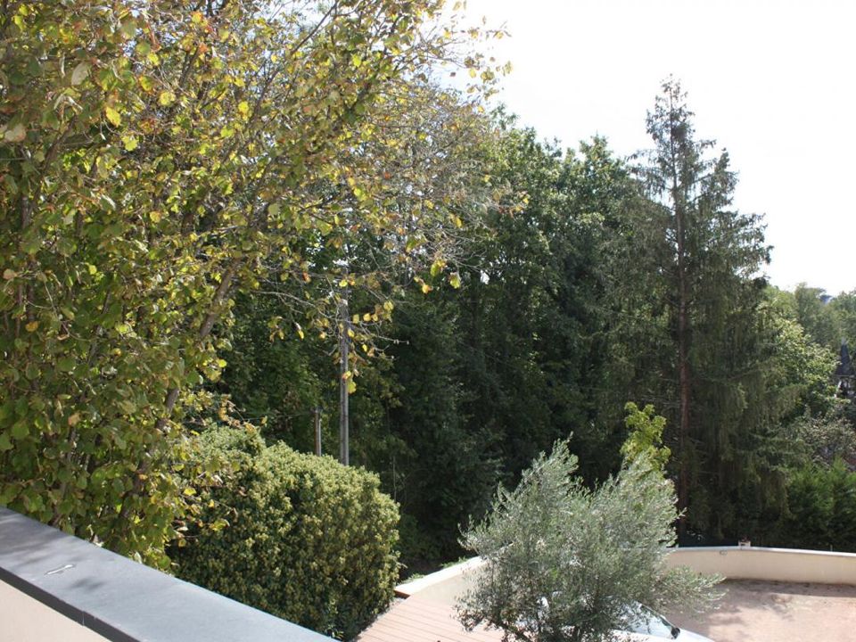 Lejlighed i Saint-Didier-au-Mont-d'Or, Rhone - foto 5