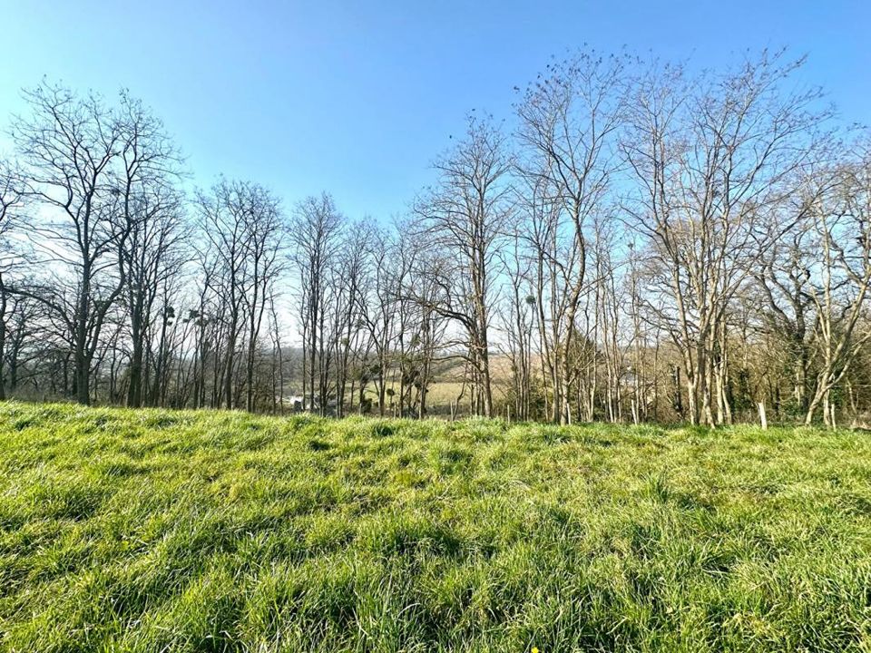 Helårsgrund i Vouvray-sur-Loir, Sarthe - foto 2