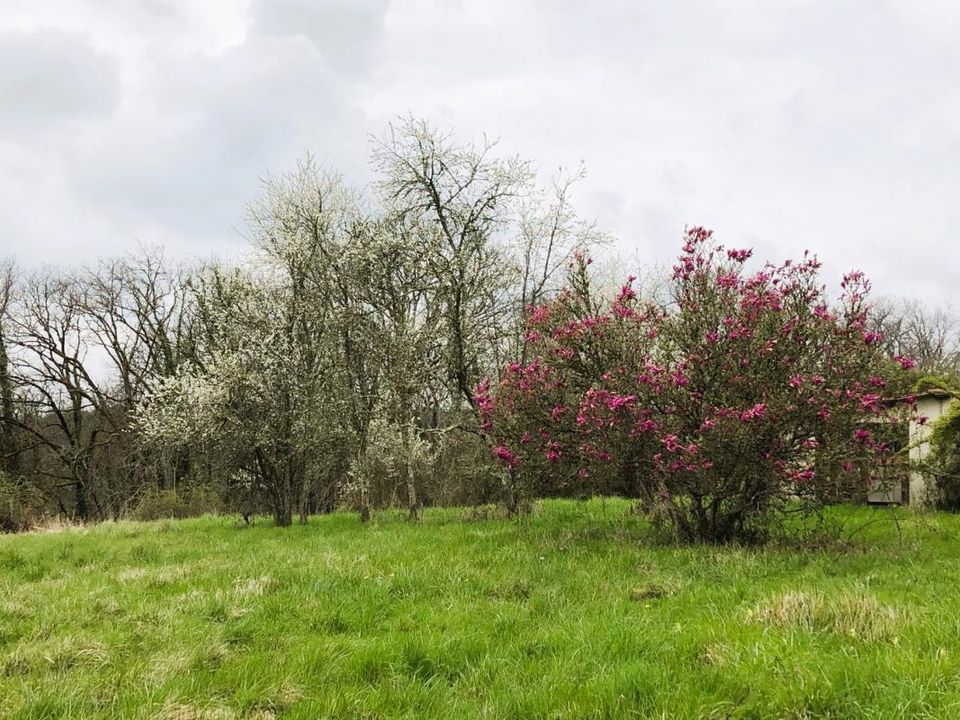 Farm hus i Tocane-Saint-Apre, Dordogne - foto 2