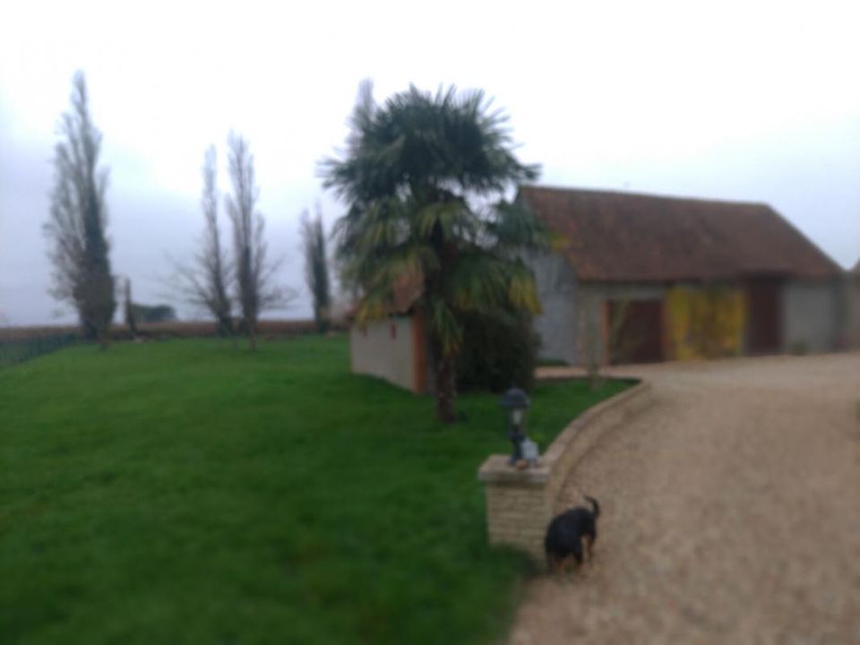 Villa i Bonnée, Loiret - foto 3