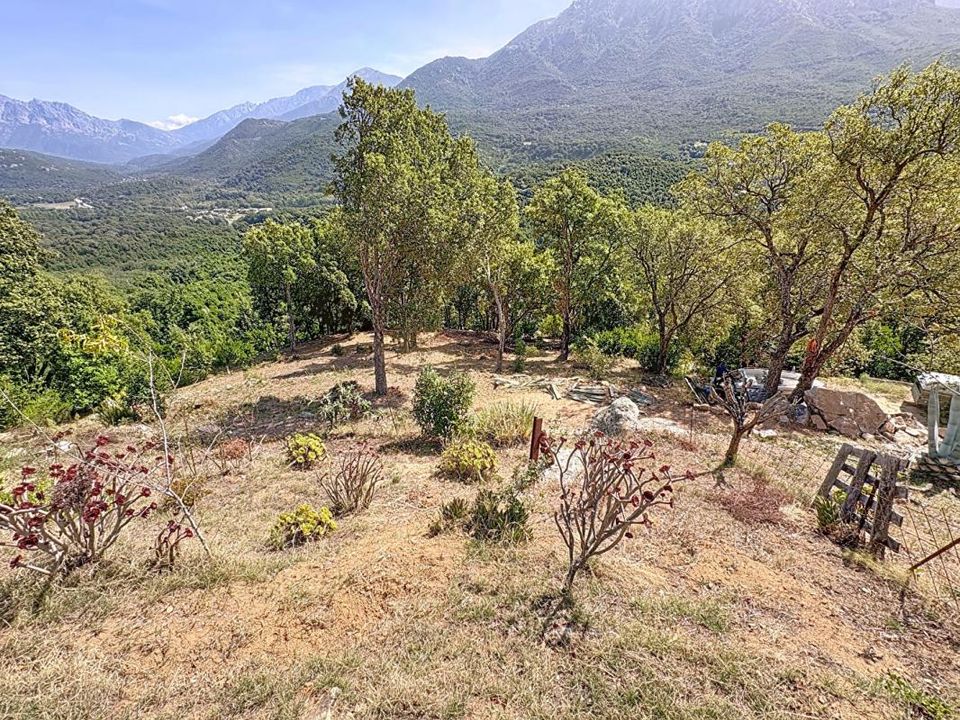 Tomt i Tavaco, Corse-du-Sud - bilde 1