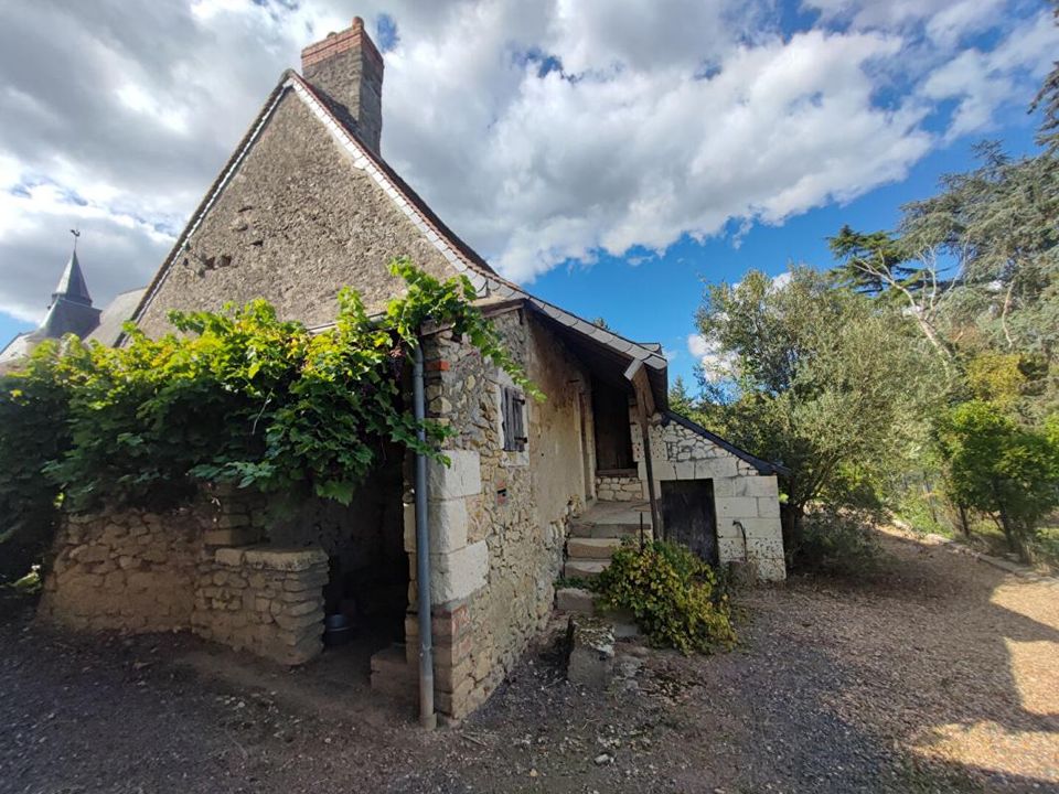 Villa i Ferriere-sur-Beaulieu, Indre-et-Loire - foto 5