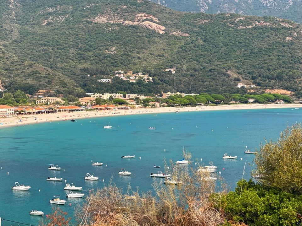 Villa i Sagone, Corse-du-Sud - bilde 4