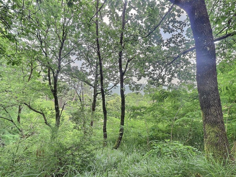 Helårsgrund i Labégude, Ardeche - foto 3