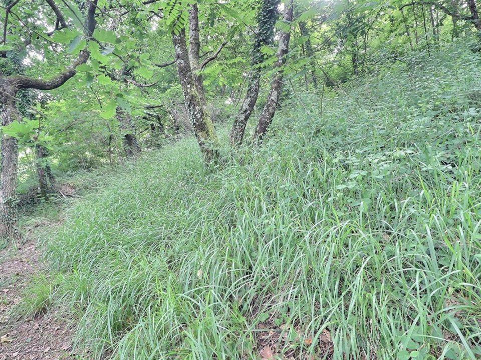 Helårsgrund i Labégude, Ardeche - foto 4