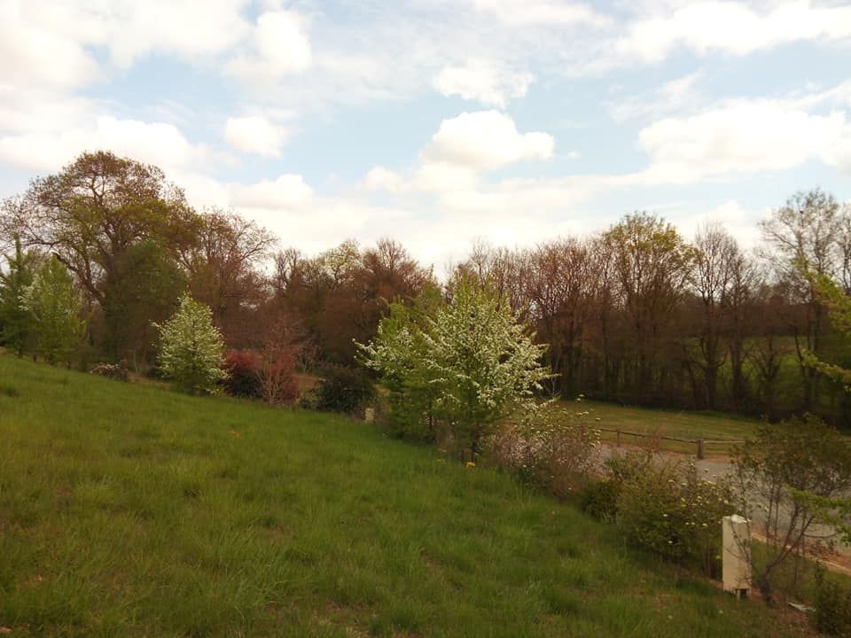 Helårsgrund i Fleurance, Gers - foto 3