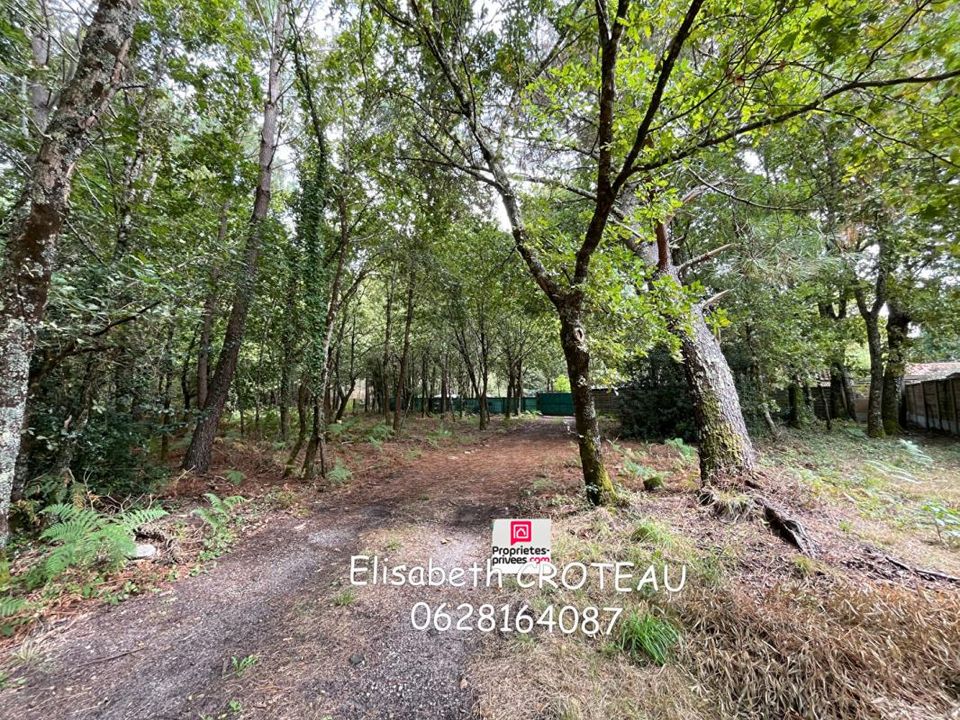 Tomt i Sanguinet, Landes - bilde 1