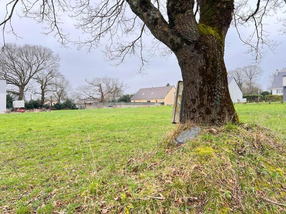 Helårsgrund i Conquereuil, Loire-Atlantique - foto 1