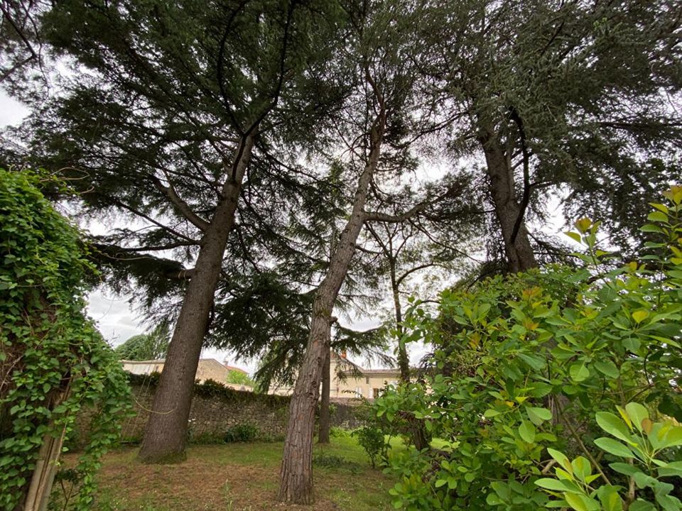 Villa i Saint-Macaire, Gironde - foto 5