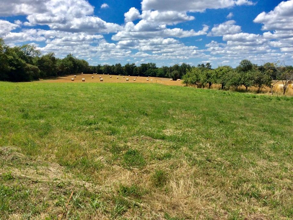 Helårsgrund i Thiviers, Dordogne - foto 1