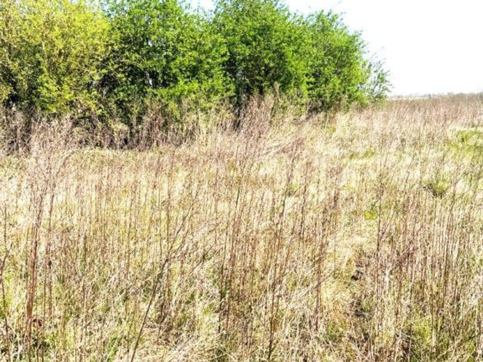 Helårsgrund i Marest-Dampcourt, Aisne - foto 1