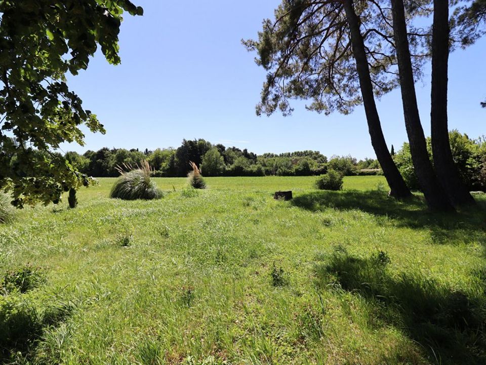 Villa i Montfavet, Vaucluse - foto 4