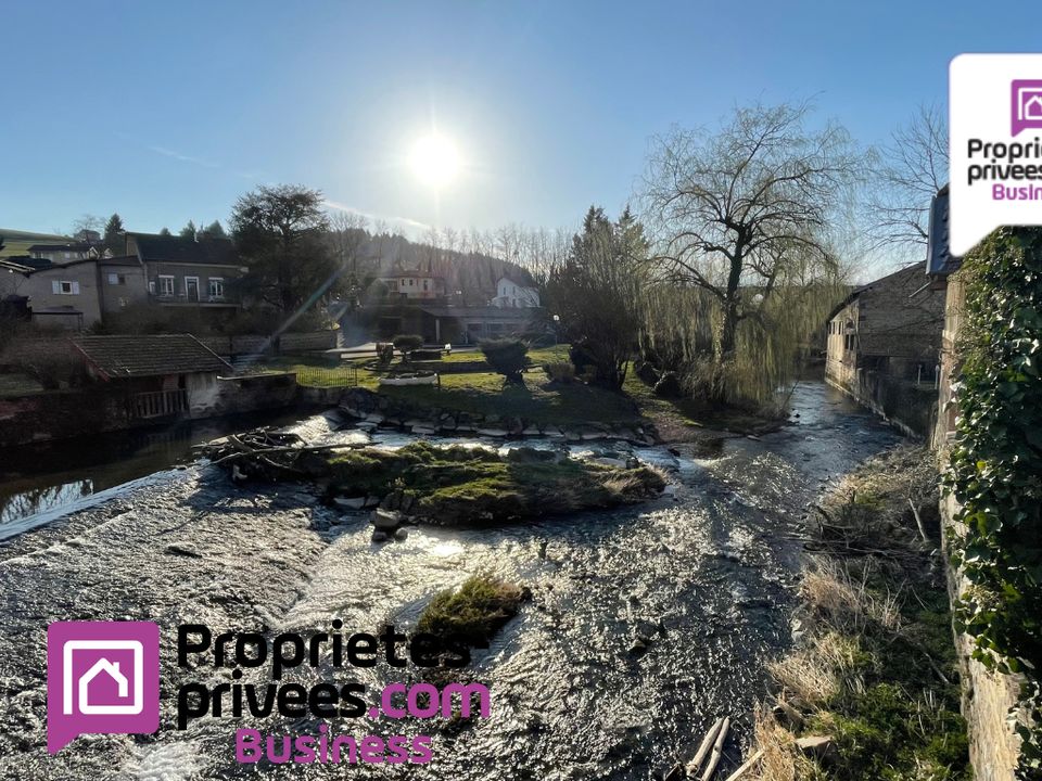 Erhvervsejendom i Amplepuis, Rhone - foto 5