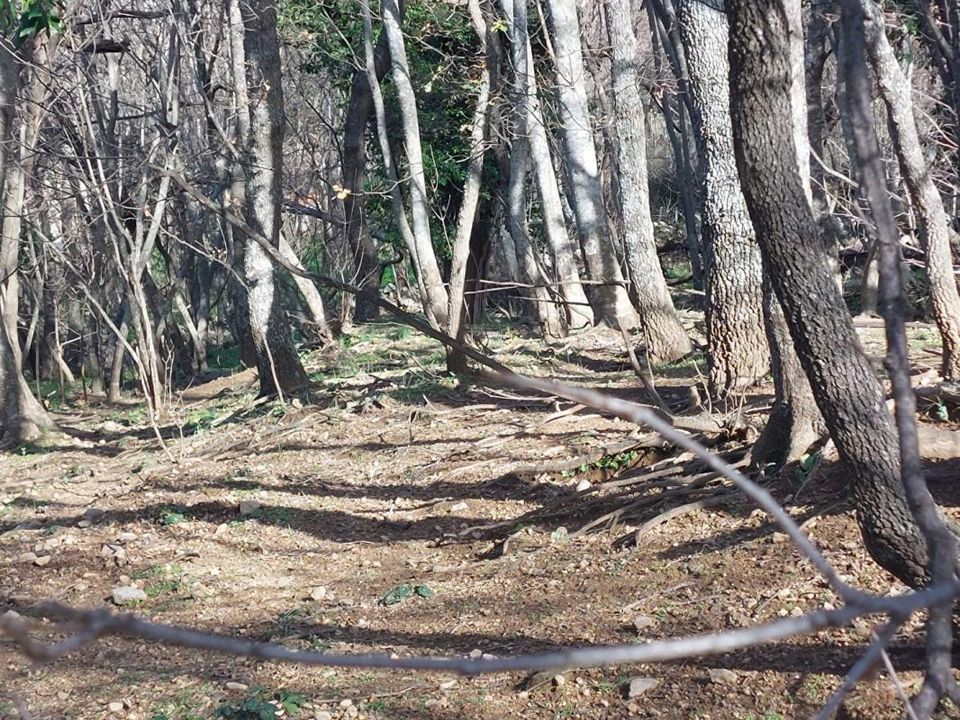 Helårsgrund i Ville-di-Paraso, Haute-Corse - foto 2