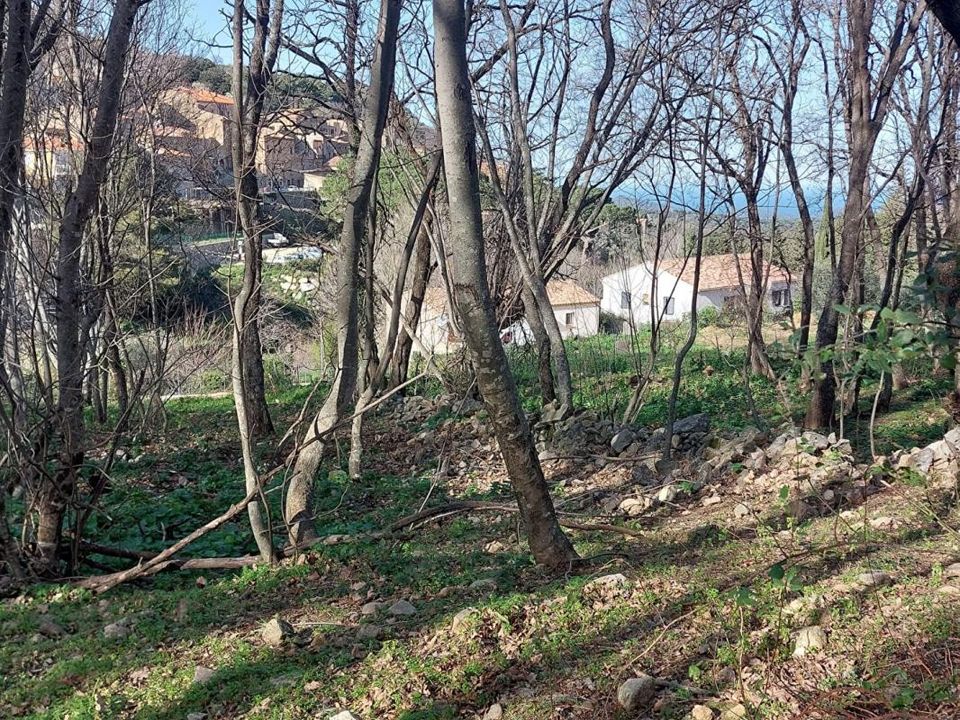Helårsgrund i Ville-di-Paraso, Haute-Corse - foto 3