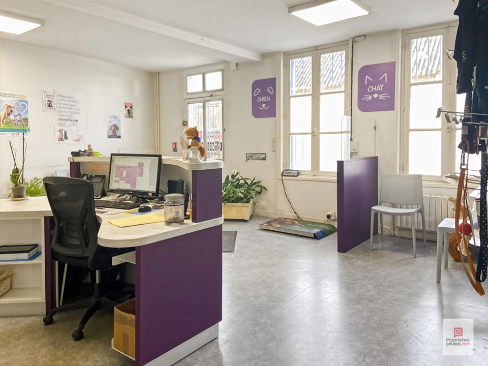 Commercial property in La Flèche, Sarthe - photo 2