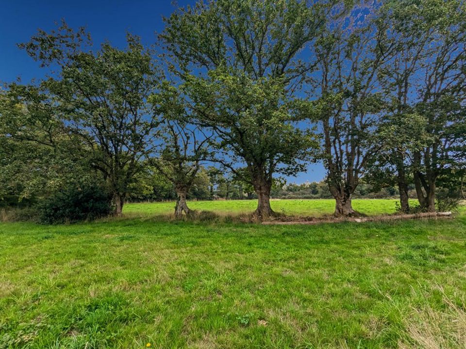 Villa i Campbon, Loire-Atlantique - foto 5