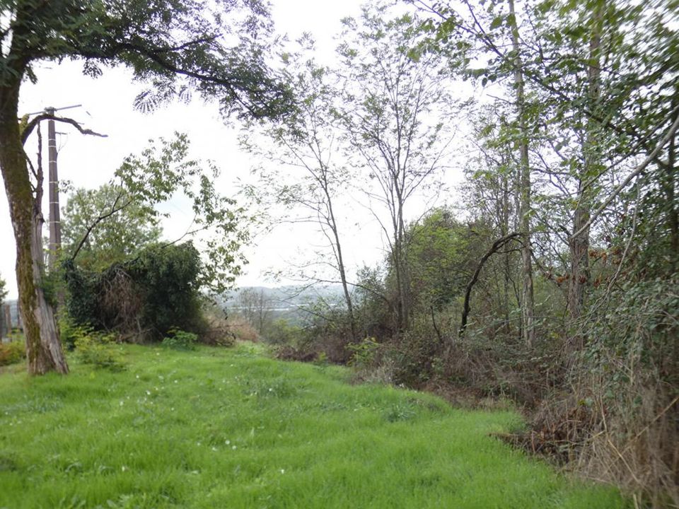 Helårsgrund i Ussac, Correze - foto 3