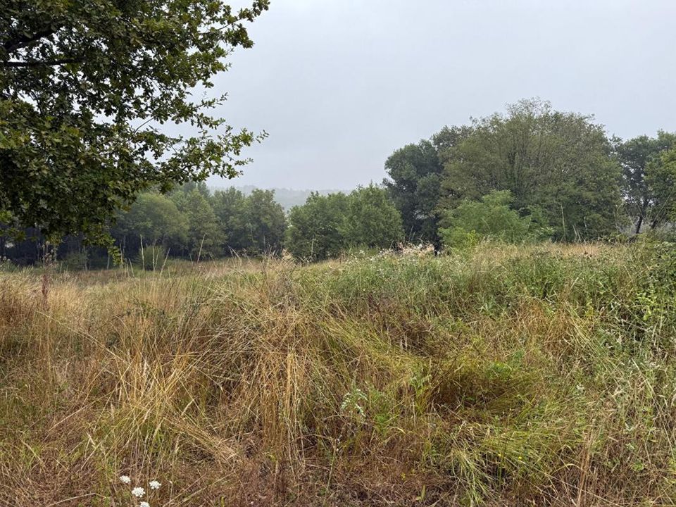 Helårsgrund i Saint-Martin-De-Laye, Gironde - foto 1