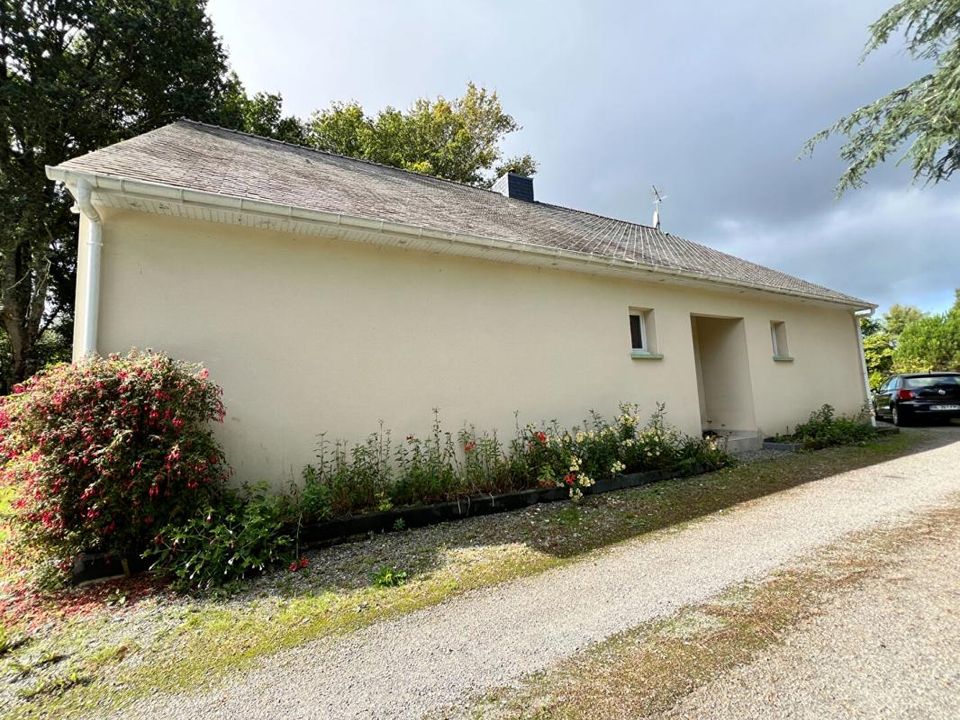 Villa i Guenrouet, Loire-Atlantique - foto 2