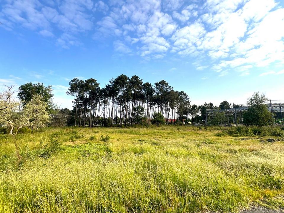 Villa i Audenge, Gironde - foto 4