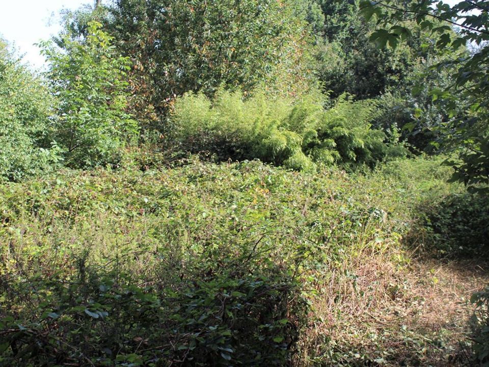 Villa i Saint-Gonnery, Morbihan - foto 5