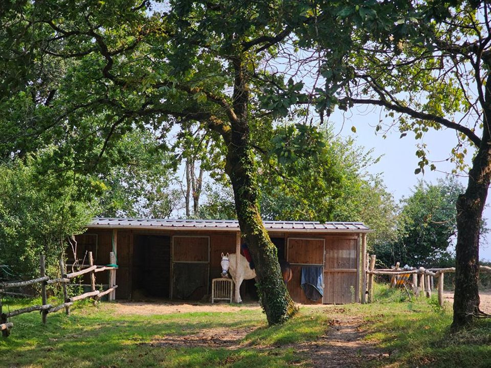 Villa i Guerande, Loire-Atlantique - foto 3