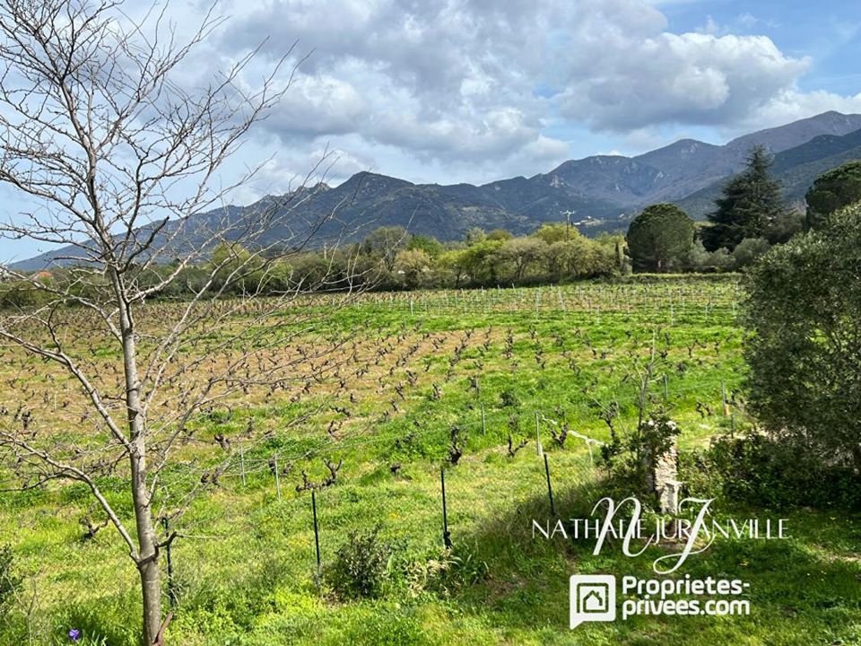 Villa i Laroque-des-Albères, Pyrenees-Orientales - foto 5
