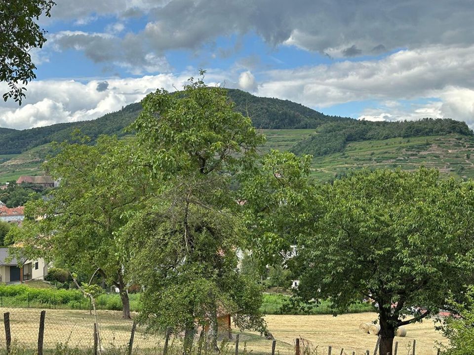 Helårsgrund i Soultz-Haut-Rhin, Haut-Rhin - foto 3